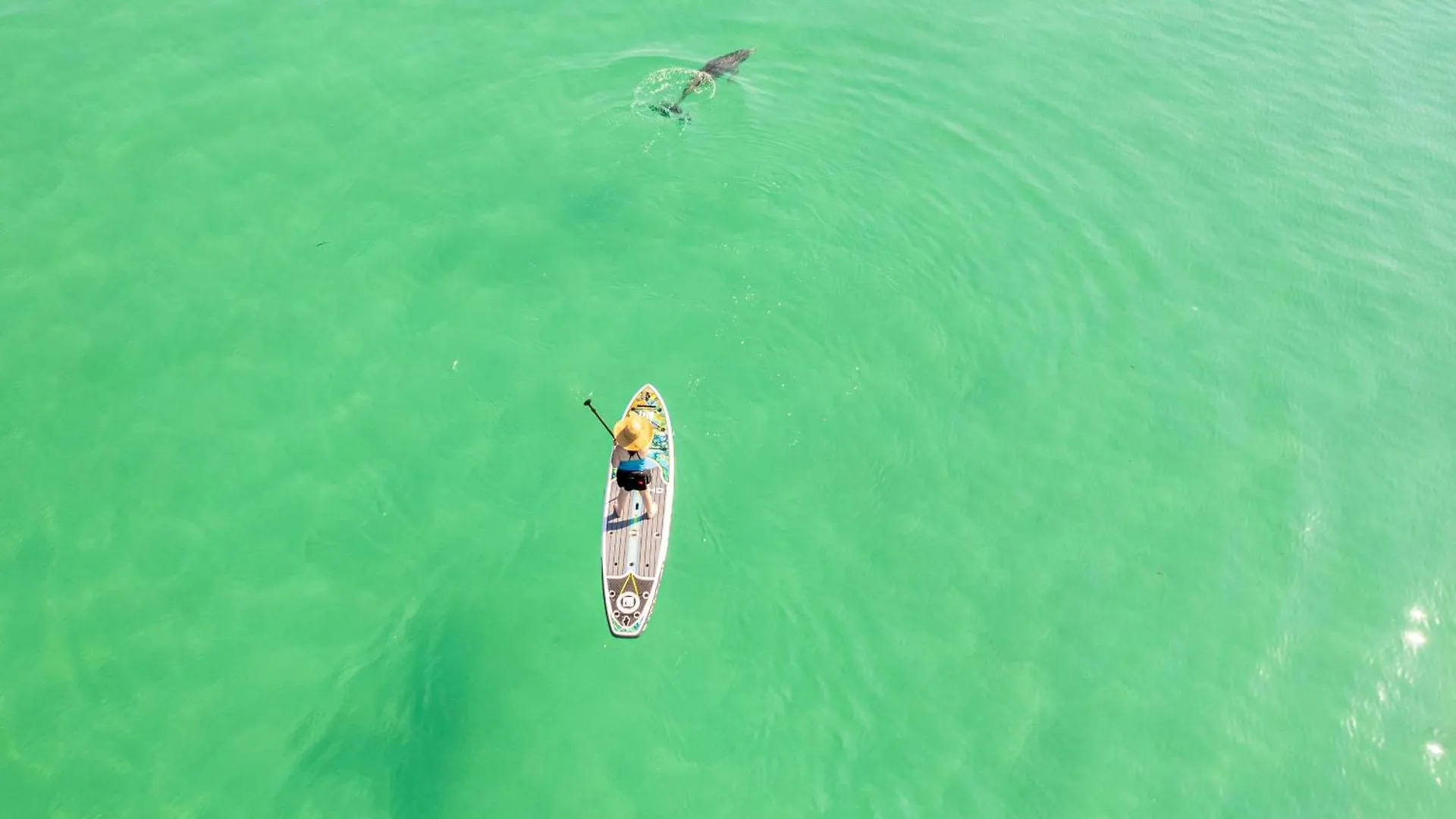 Oceania 204- By Holiday Isle Properties Destin 0*,