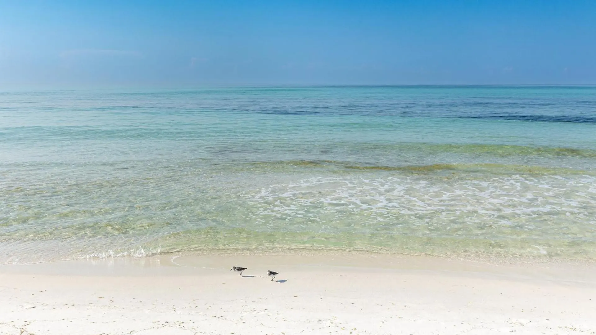 Oceania 204- By Holiday Isle Properties Destin 0*,  United States